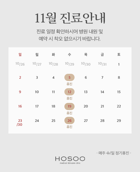 호수클리닉_11월 진료일정 팝업.jpg
